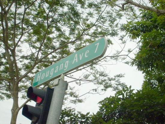 Hougang Avenue 7 #103082